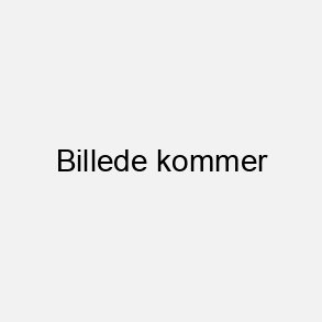4,5mm Pile til Luftgev�r/Pistol 