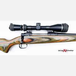 Savage 110E - Cal. 30.06
